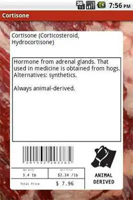 Play Animal-Free Play Animal-Free