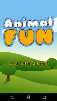 Play Animal Fun