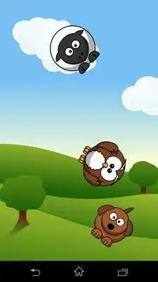 Play Animal Fun