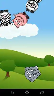 Play Animal Fun