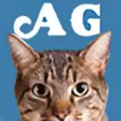 Free play online Animal General APK Free play online Animal General APK