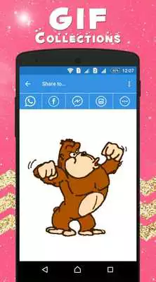 Play Animal GIF Collection Play Animal GIF Collection