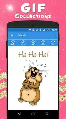 Play Animal GIF Collection Play Animal GIF Collection