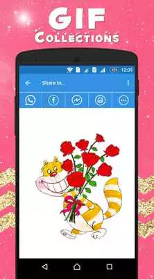 Play Animal GIF Collection Play Animal GIF Collection