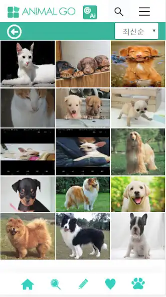 Play AnimalGo  and enjoy AnimalGo with UptoPlay