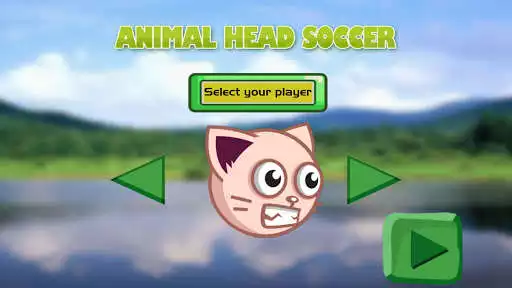 Play Animal Head Soccer