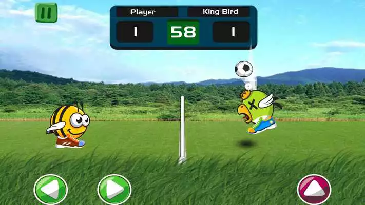 Play Animal Head Soccer