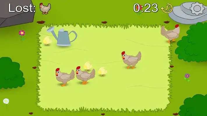 Play Animal Herding