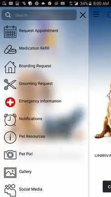 Play Animal Hospital Inc