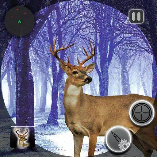 Free play online Animal Hunter Expert - Sniper Shooting King APK Free play online Animal Hunter Expert - Sniper Shooting King APK