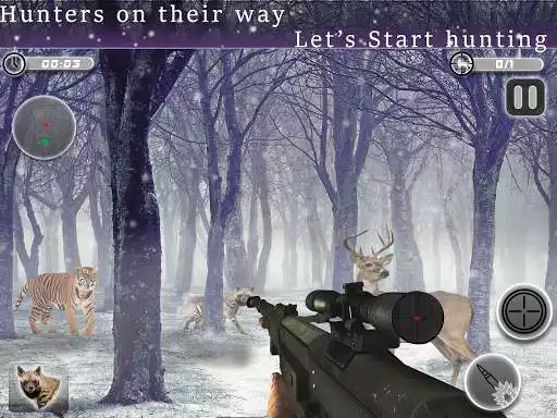 Play Animal Hunter Expert - Sniper Shooting King