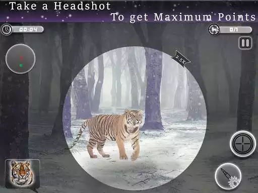 Play Animal Hunter Expert - Sniper Shooting King