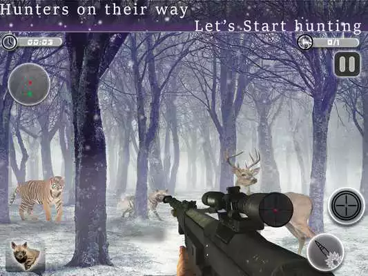 Play Animal Hunter Expert - Sniper Shooting King