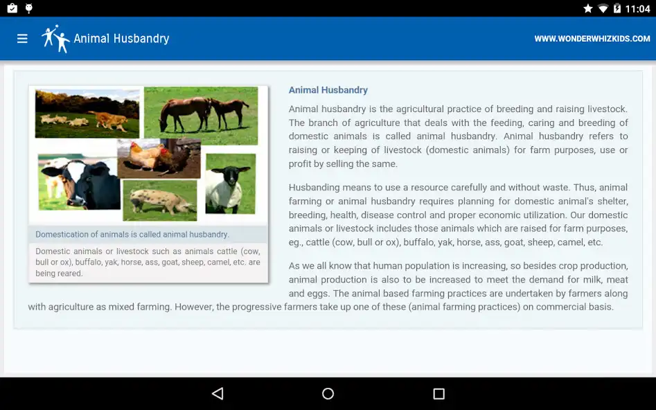 Play Animal Husbandry as an online game Animal Husbandry with UptoPlay
