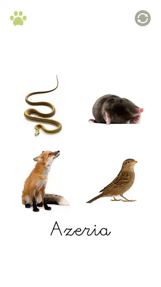 Play Animaliak: ¡Aprende jugando! as an online game Animaliak: ¡Aprende jugando! with UptoPlay