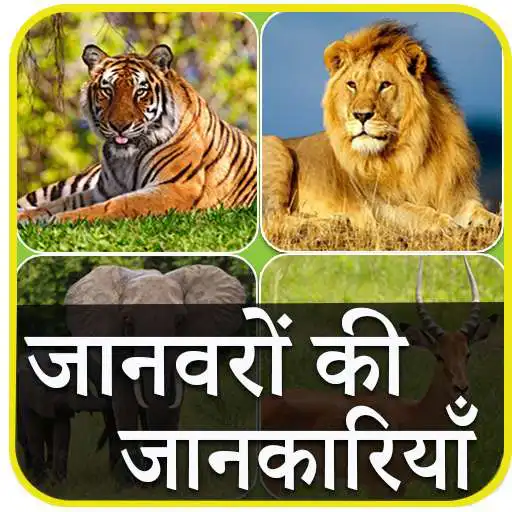 Play Animal Information in Hindi APK
