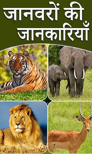 Play Animal Information in Hindi  and enjoy Animal Information in Hindi with UptoPlay