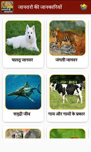 Play Animal Information in Hindi as an online game Animal Information in Hindi with UptoPlay