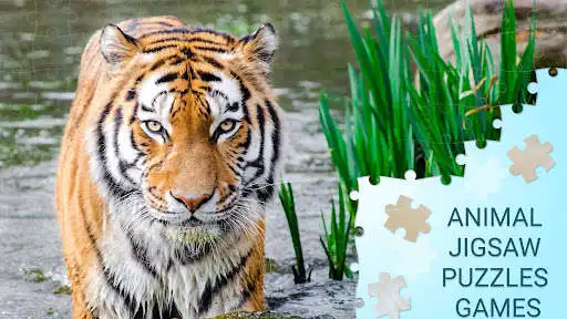 Play Animal jigsaw puzzles games as an online game online Animal jigsaw puzzles games with UptoPlay com.magic.games.jigsaw.puzzles.Animal.Jigsaw.Puzzles.Games Play Animal jigsaw puzzles games as an online game Animal jigsaw puzzles games with UptoPlay
