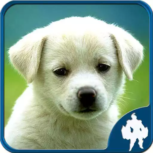 Free play online Animal Jigsaw Puzzles APK