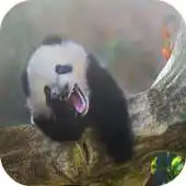 Free play online Animal Jokes APK