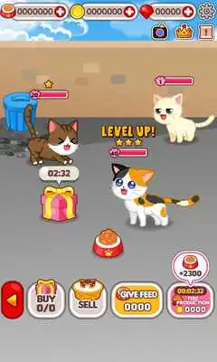 Play Animal Judy: Feral Cat care