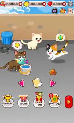 Play Animal Judy: Feral Cat care