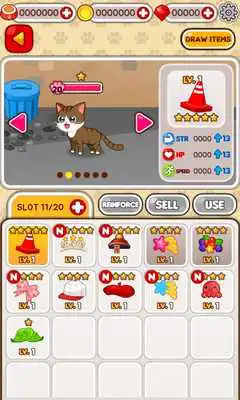 Play Animal Judy: Feral Cat care