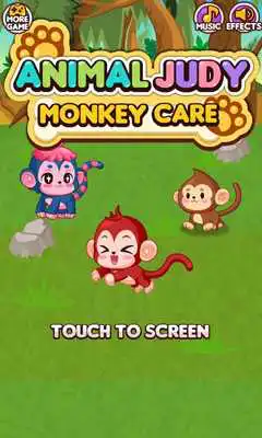 Play Animal Judy: Monkey care