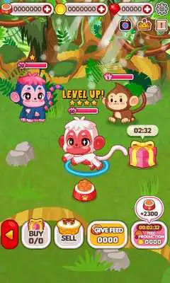 Play Animal Judy: Monkey care