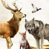 Free play online Animal Jungle Hunting : Real Forest Wild Hunter APK Free play online Animal Jungle Hunting : Real Forest Wild Hunter APK