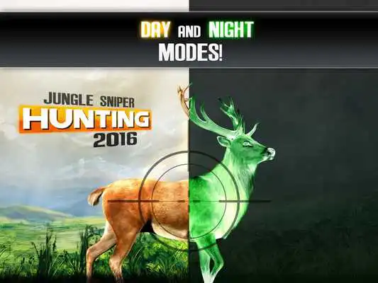 Play Animal Jungle Hunting : Real Forest Wild Hunter Play Animal Jungle Hunting : Real Forest Wild Hunter