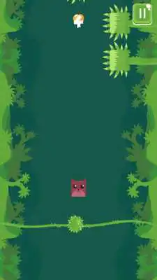 Play Animal Jungle PRO