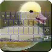 Free play online Animal Keyboard Theme APK