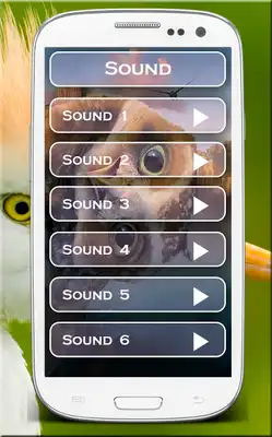 Play Animal Keyboard Theme Play Animal Keyboard Theme
