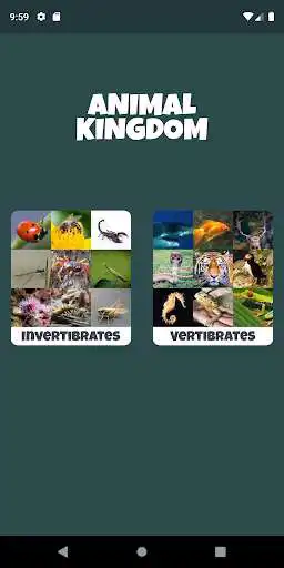 Play Animal Kingdom (wildlife & nature)  and enjoy Animal Kingdom (wildlife & nature) with UptoPlay