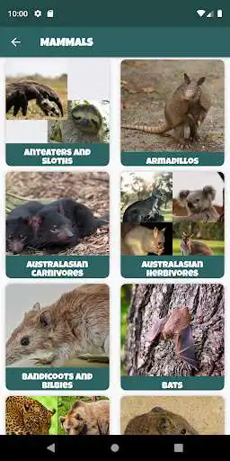 Play Animal Kingdom (wildlife & nature) as an online game Animal Kingdom (wildlife & nature) with UptoPlay