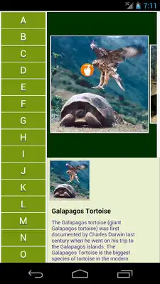 Play AnimalList -Listing of Animals Play AnimalList -Listing of Animals