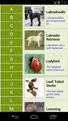 Play AnimalList -Listing of Animals Play AnimalList -Listing of Animals