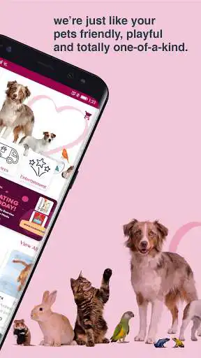 Play Animal Lovers as an online game Animal Lovers with UptoPlay