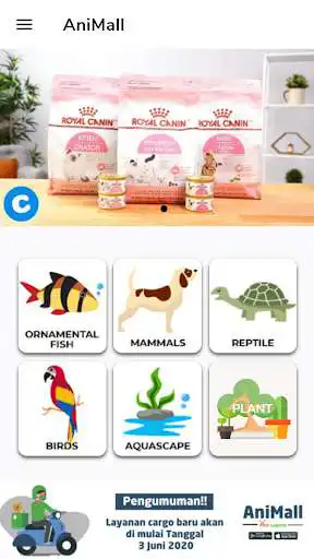 Play AniMall  and enjoy AniMall with UptoPlay