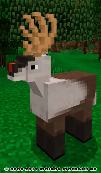 Play Animal MOD For MCPE!