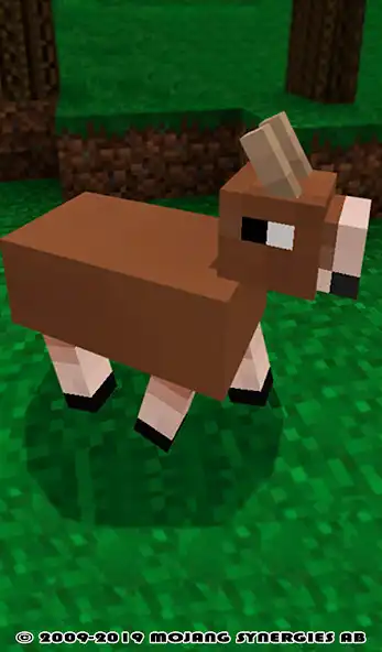 Play Animal MOD For MCPE!
