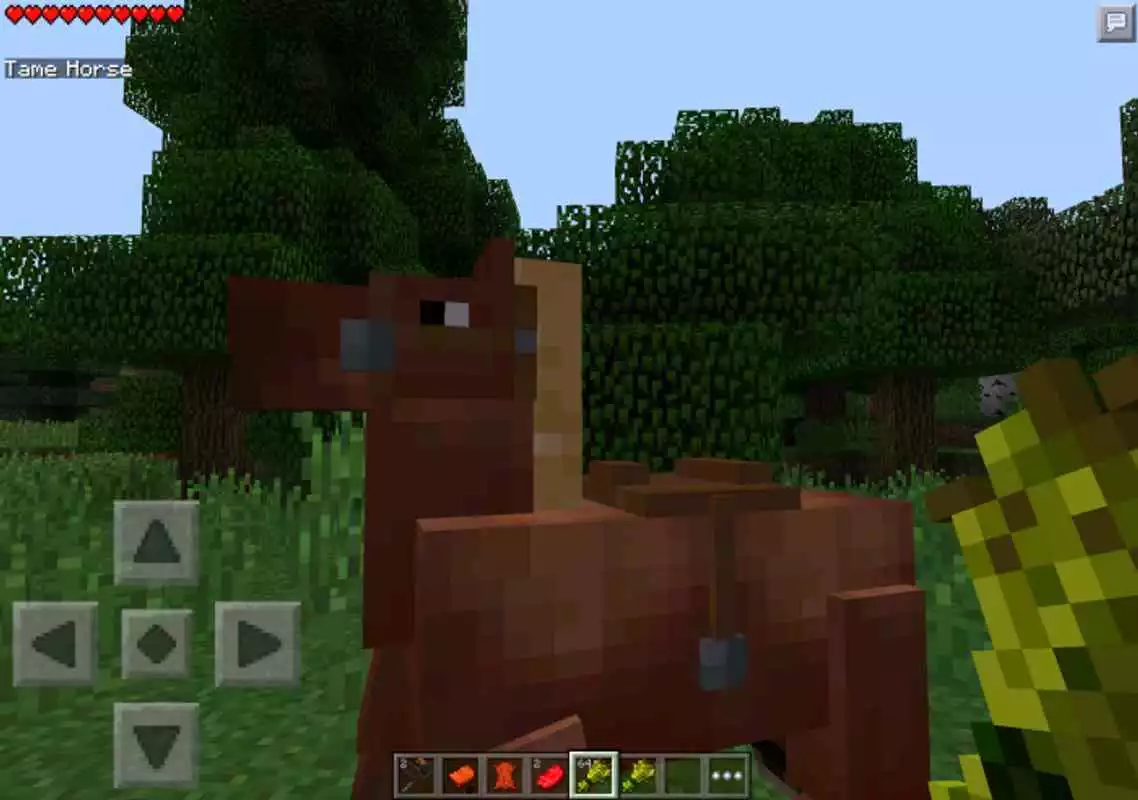 Play Animal Mod