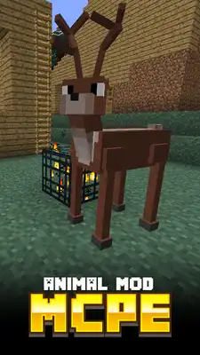 Play Animal MODS For MCPE.