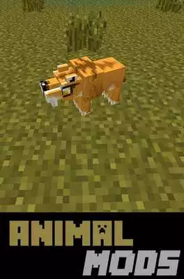 Play Animal MODS For MCPocketE