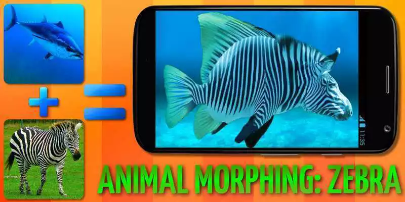 Play Animal Morphing: Zebra Hybrid