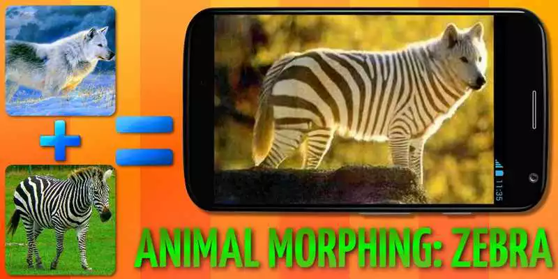 Play Animal Morphing: Zebra Hybrid