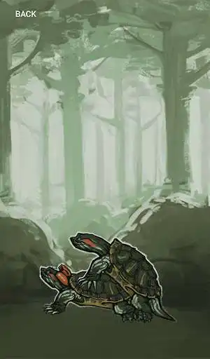 Play Animal - pairing app and enjoy Animal - pairing app with UptoPlay Play Animal - pairing app and enjoy Animal - pairing app with UptoPlay