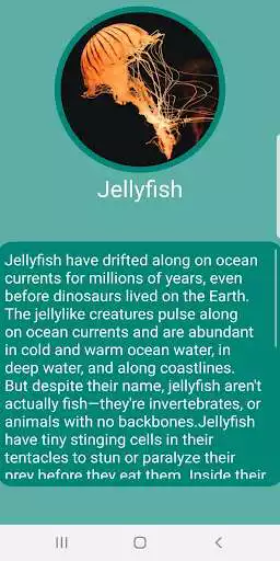 Play Animal Pedia  and enjoy Animal Pedia with UptoPlay